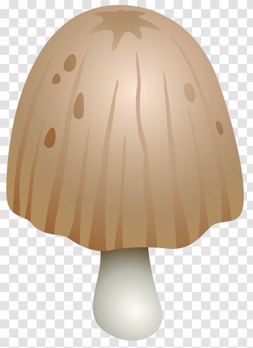 Mushroom Shaggy Ink Cap Fungus Clip Art - Idea Transparent PNG