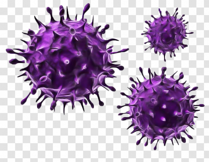 Virus Herpes Simplex Virus Flu Coronavirus Health Transparent PNG