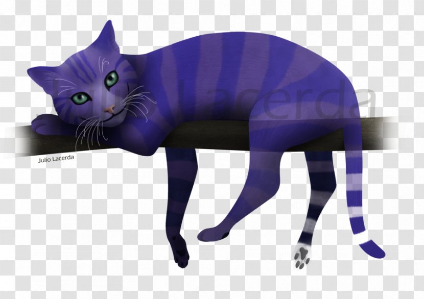 Korat Kitten Whiskers Black Cat Cheshire Transparent PNG