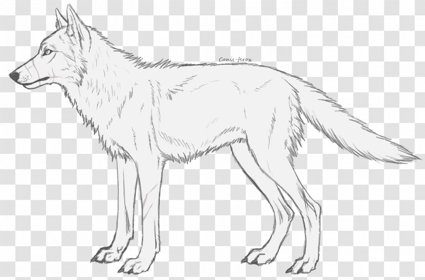 Red Fox Siberian Husky Alaskan Malamute Canis Ferox Line Art - Arctic Wolf - Foxes History Transparent PNG