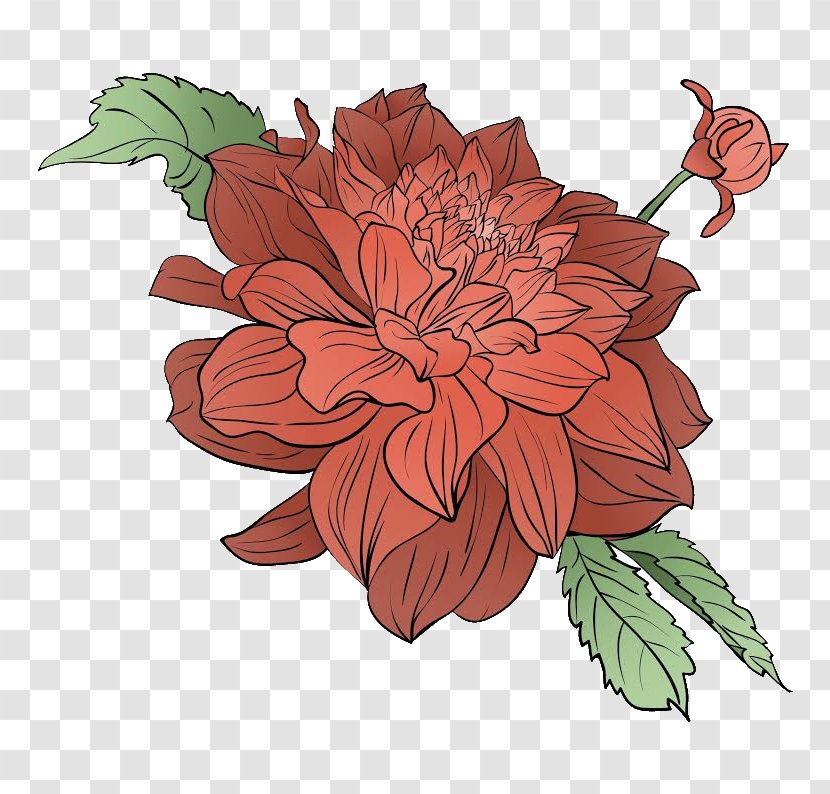 Dahlia Floral Design Cut Flowers Rose Family Chrysanthemum Transparent PNG