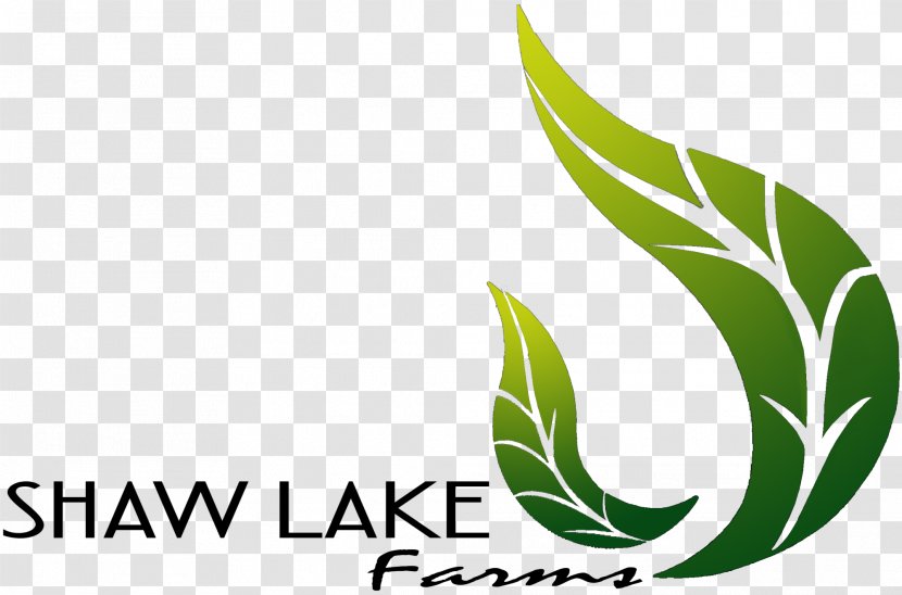 Leaf Logo Brand Plant Stem Font - Green Transparent PNG