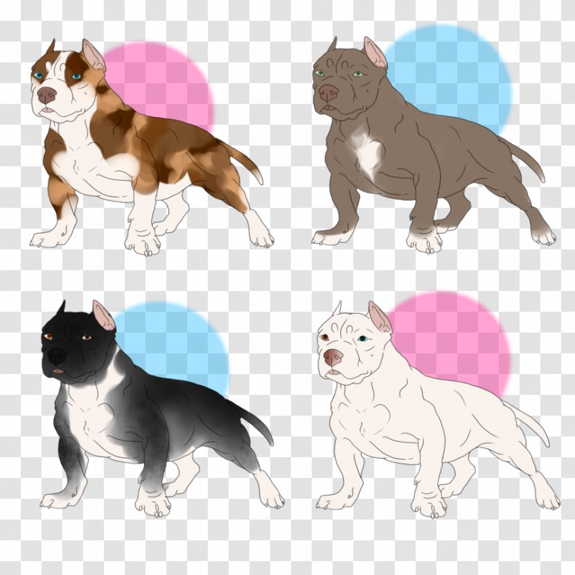 Boston Terrier Dog Breed Cat Non-sporting Group (dog) Transparent PNG