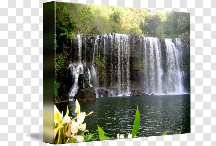 Kailua Waterfall Art Imagekind Watercourse - Rainforest - Scenery Transparent PNG