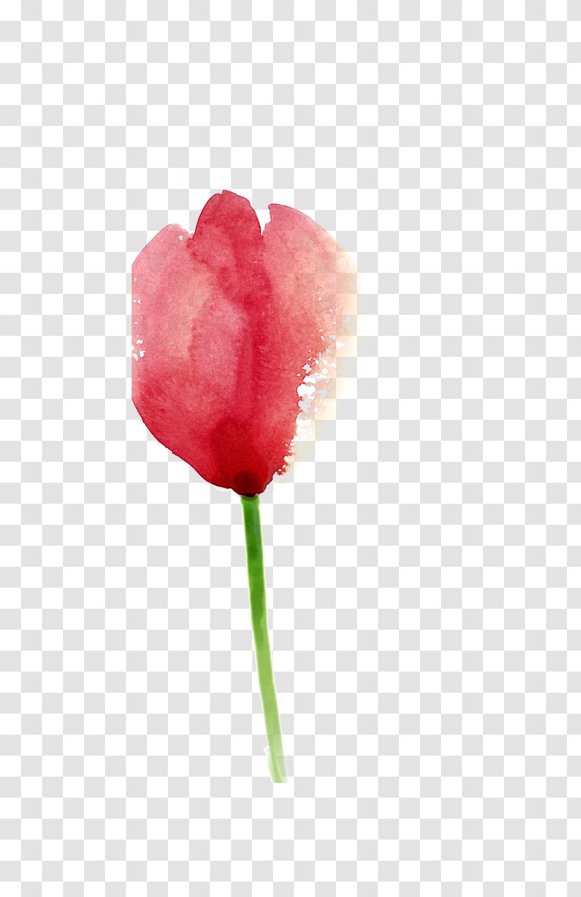 Tulip Painting Pink - Paint - Painted Tulips Transparent PNG