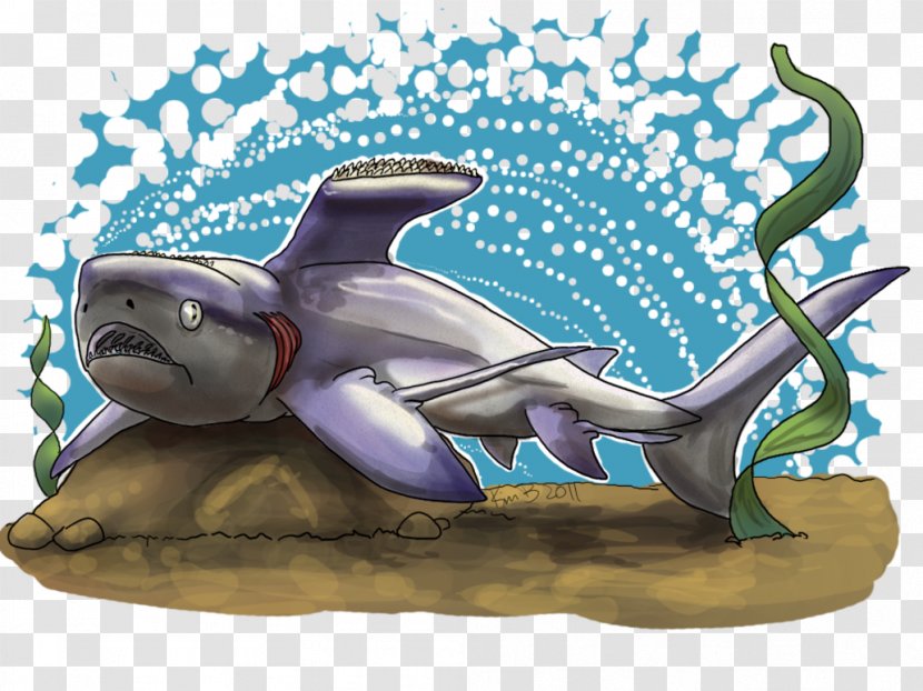 Shark Stethacanthus Drawing Dolphin Cartoon - Week Transparent PNG