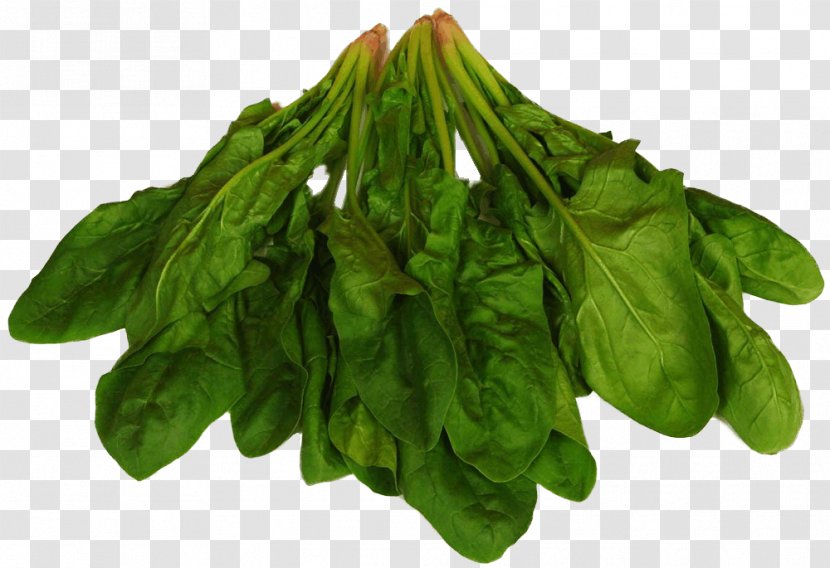 Spinach Food Chard Leaf Vegetable Eating - Simit - Spring Greens Transparent PNG