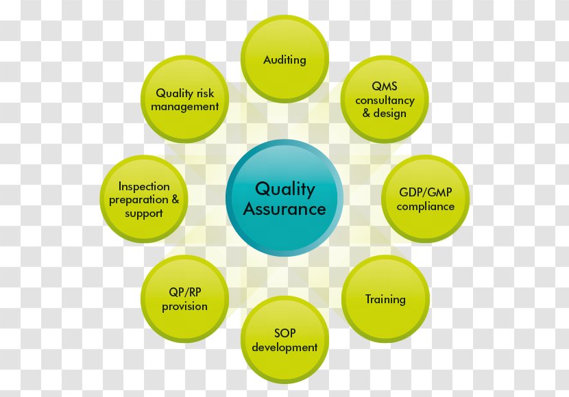 Quality Assurance Information Good Manufacturing Practice System - Industry - Website Content Writer Transparent PNG