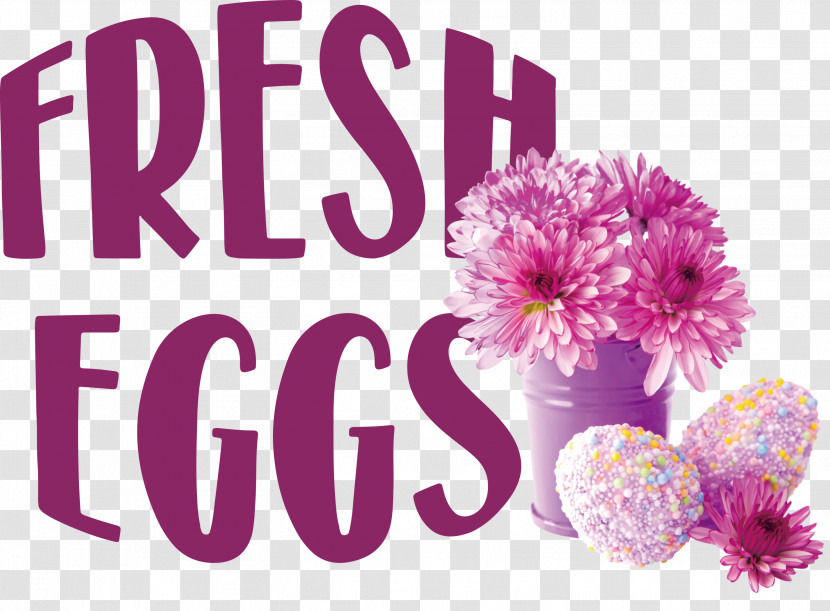 Fresh Eggs Transparent PNG