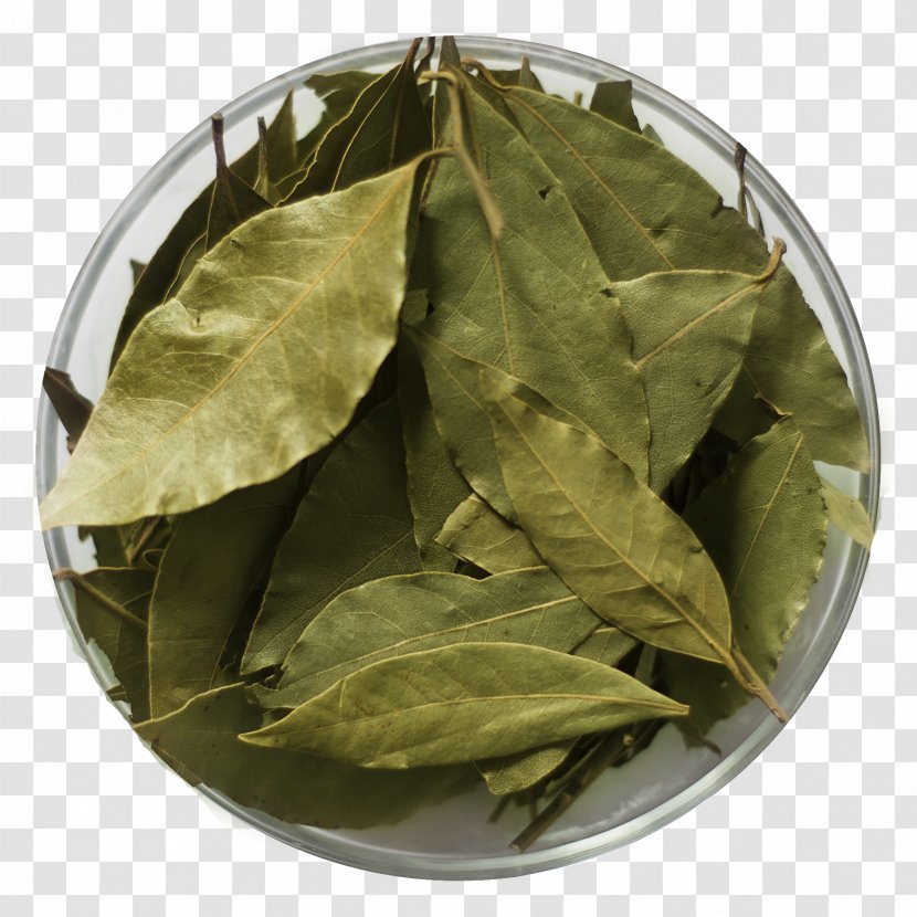 Bancha Herb - лавровый лист Transparent PNG