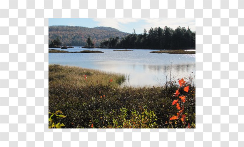 Loch Water Resources Lake District Nature Reserve Plant Community Transparent PNG