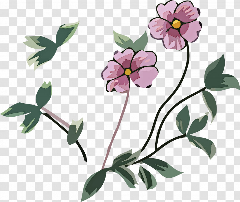 Floral Design Transparent PNG