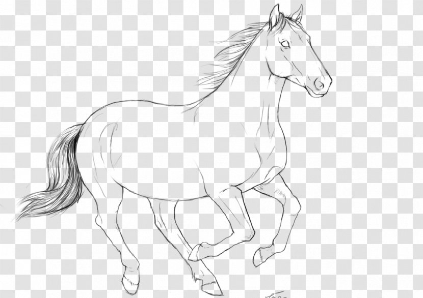 Mustang Gallop Foal Stallion Pony - Galloping Horse Transparent PNG