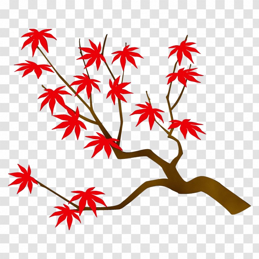 Tree Leaf Plant Black Maple - Paint Transparent PNG