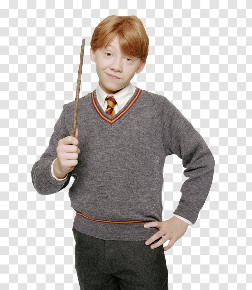 Ron Weasley Professor Severus Snape Harry Potter And The Philosopher's Stone Ginger Transparent PNG