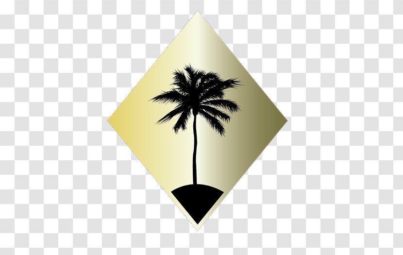 Palm Tree Leaf - Estate Agent - Arecales Transparent PNG