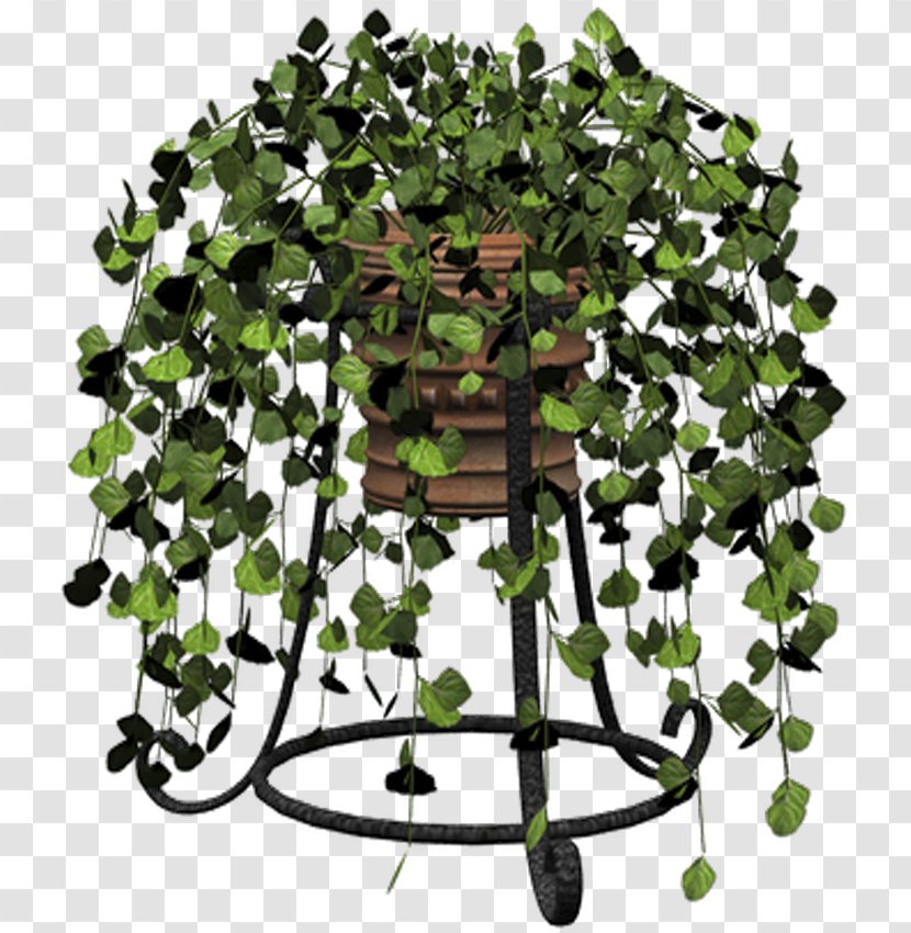 Garden Clip Art - Ivy Transparent PNG