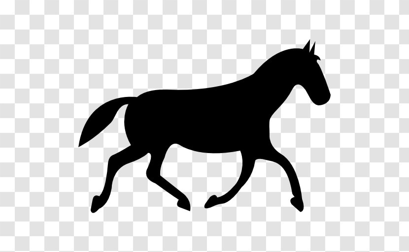 How To Draw A Horse Drawing Equestrian - Black Transparent PNG
