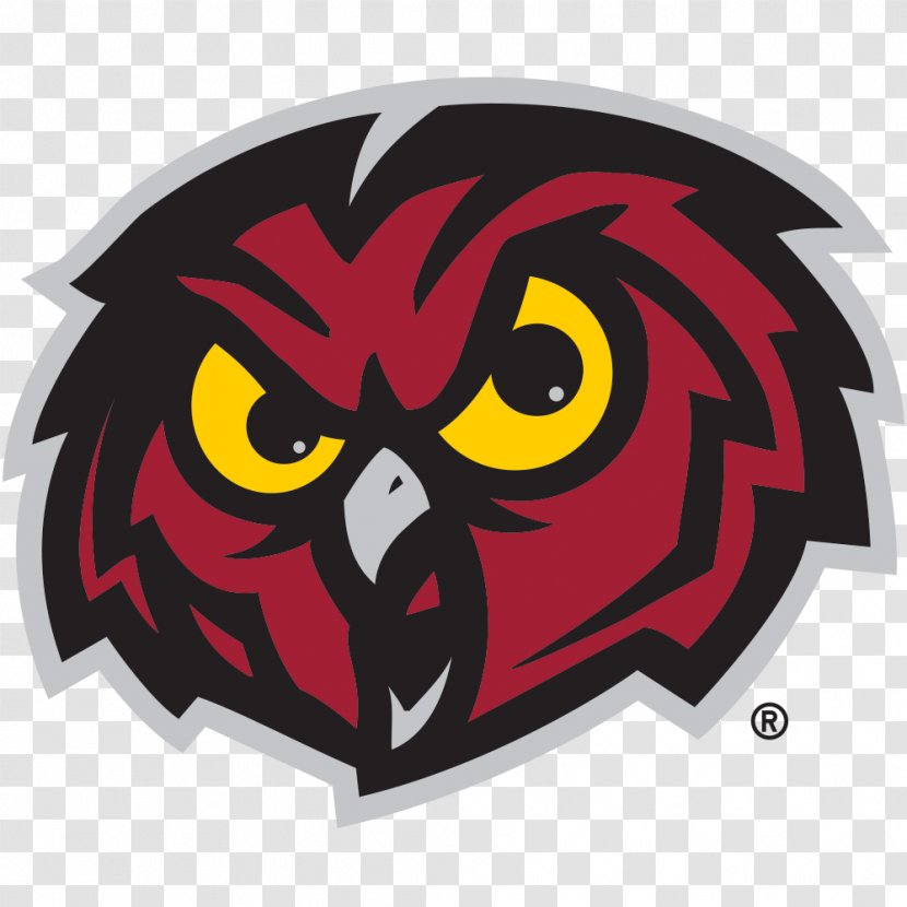 Temple Owls Football Women's Basketball Men's Soccer - Owl Transparent PNG