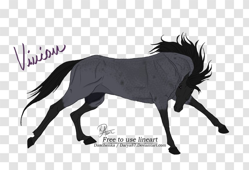 Mustang Stallion Art Pony Mare - Bridle - Overbearing Transparent PNG