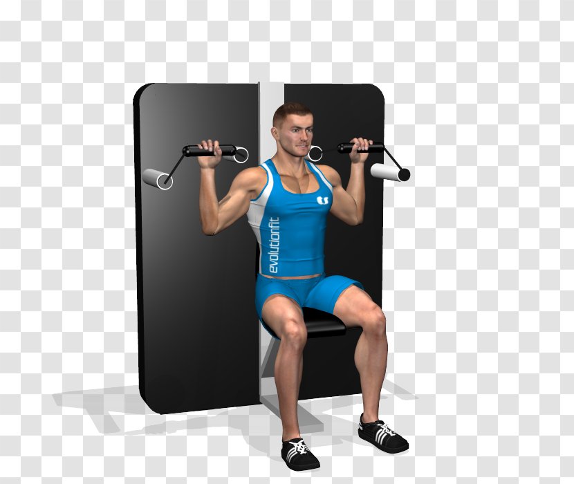 Weight Training Weightlifting Machine Barbell Fitness Centre Calf - Tree Transparent PNG