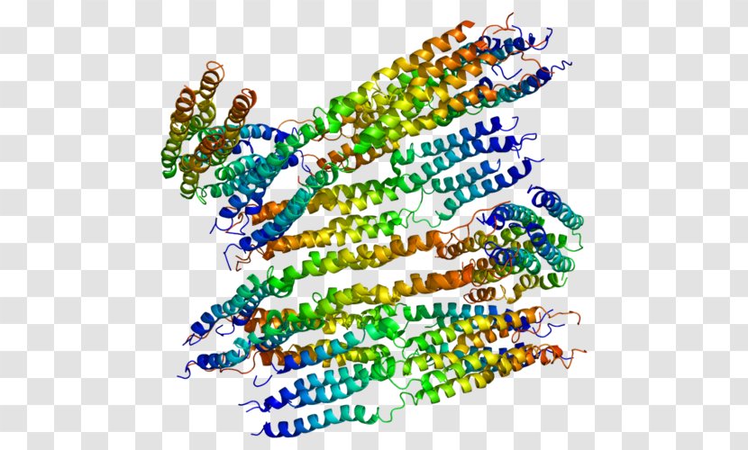 APOA2 Apolipoprotein Gene - Frame - Watercolor Transparent PNG