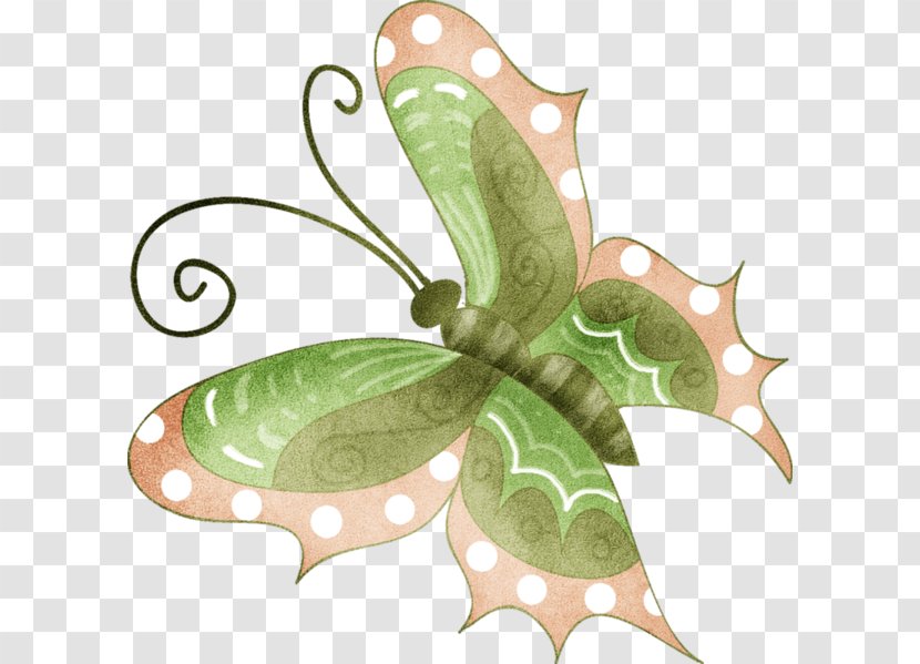 Butterfly Clip Art - Insect - A Transparent PNG