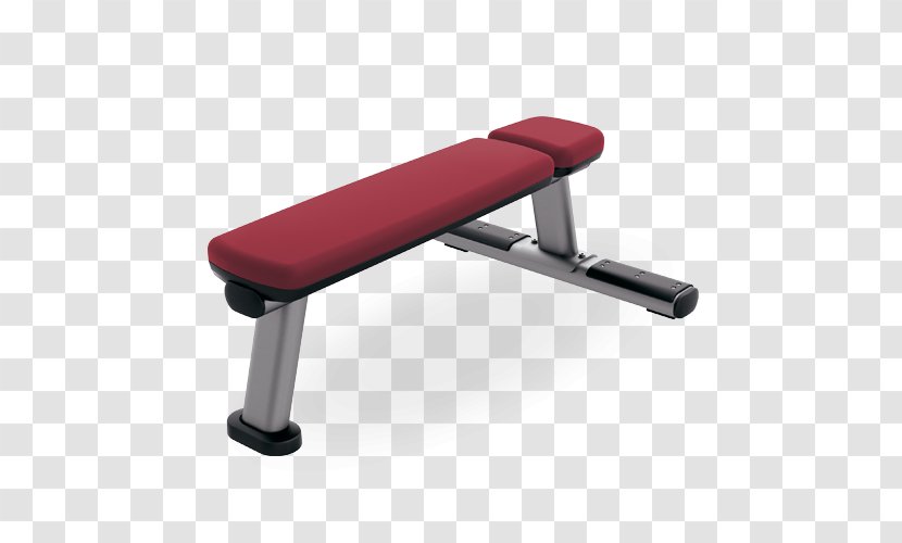 Bench Press Exercise Equipment Fitness Centre Dumbbell - Life Transparent PNG