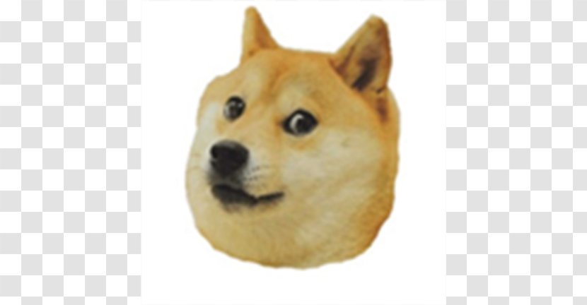 Shiba Inu Dogecoin Bumper Sticker - Paper Transparent PNG