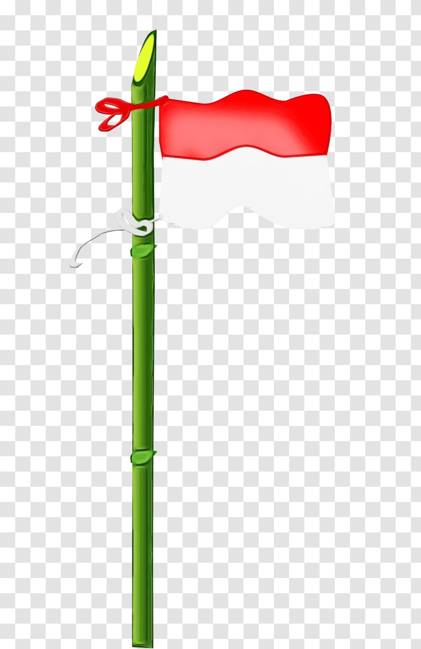 Indonesia Flag - Plant Green Transparent PNG