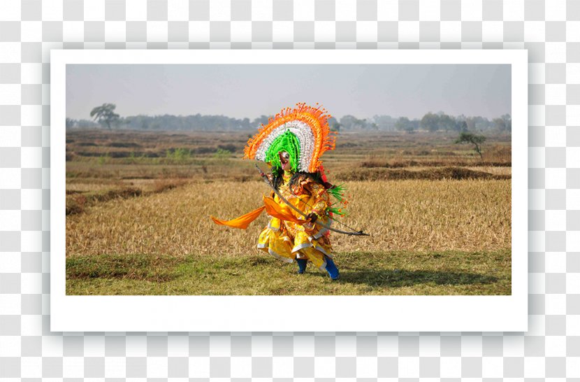Poush Mela Santal People Tata Sky Culture Santiniketan - Grass - Baul Song Transparent PNG