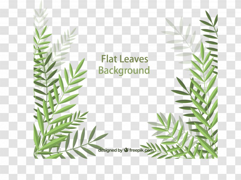 Leaf Euclidean Vector - Pattern - Flat Palm Transparent PNG