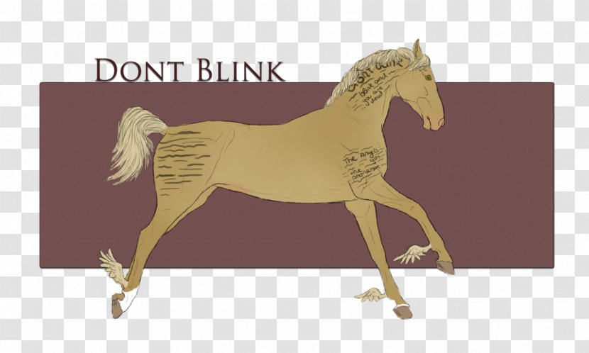 Mustang Foal Stallion Colt Pony - Mammal - Blink Transparent PNG