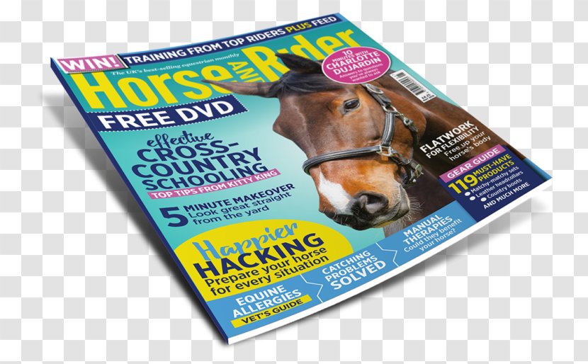 Horse&Rider Equestrian Horse Show Magazine - Advertising Transparent PNG