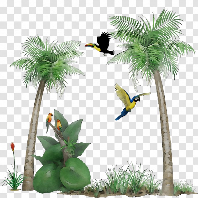 Mural Plants Wall Decal Palm Trees - Tree - Tropics Transparent PNG