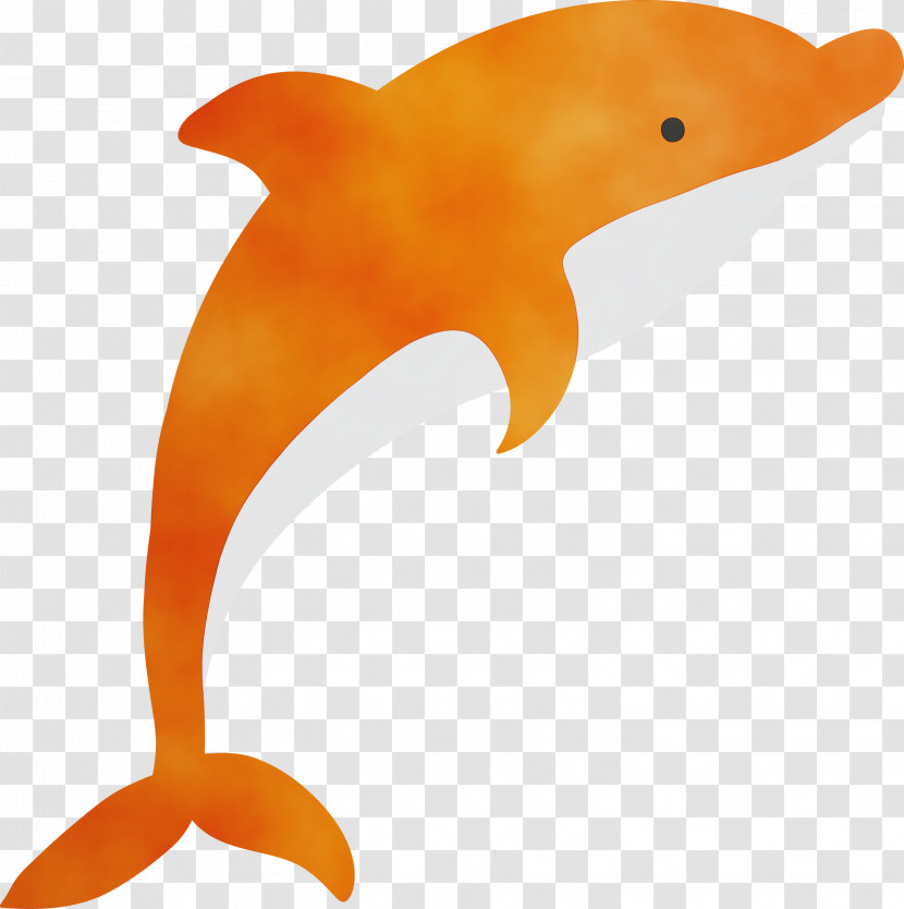 Orange Transparent PNG