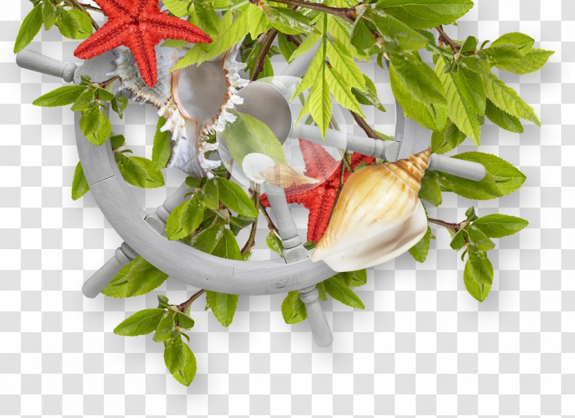 Fundal Watercraft Clip Art - Dish - Foliage Conch Starfish Rudder Transparent PNG