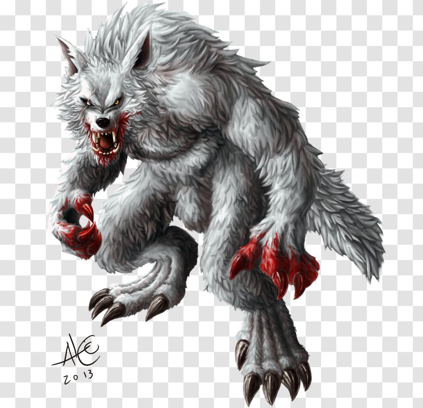 Werewolf Gray Wolf Scott McCall Derek Hale Art - Cat Transparent PNG