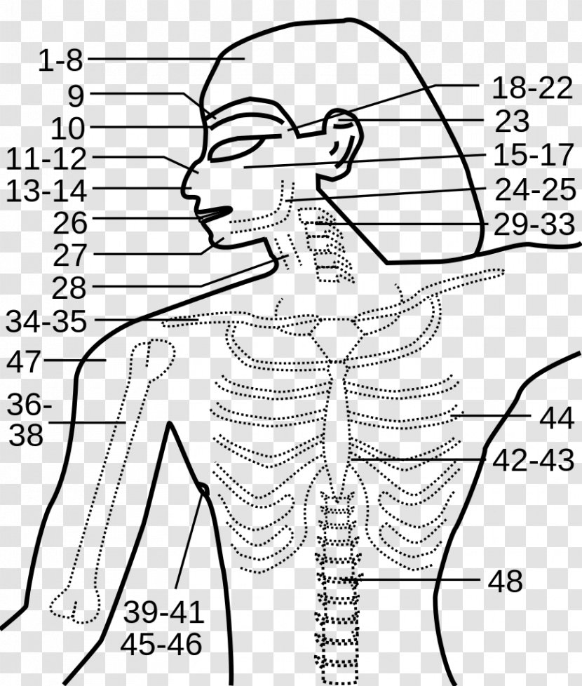 Edwin Smith Papyrus Ancient Egypt Treatise Medicine - Cartoon - Priest Transparent PNG