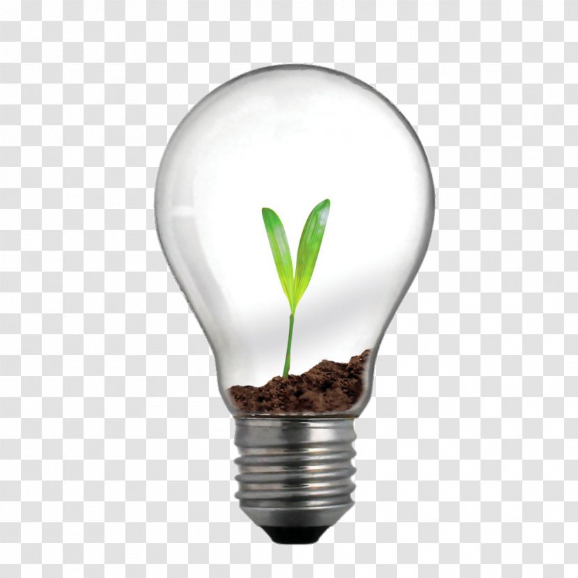 Incandescent Light Bulb Lighting Innovation Business - Plant Transparent PNG