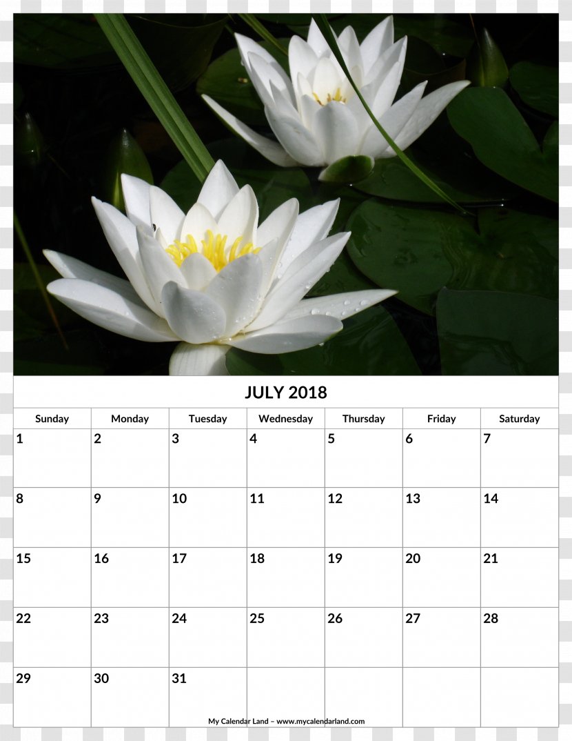 Calendar 0 Template Month - Design Transparent PNG