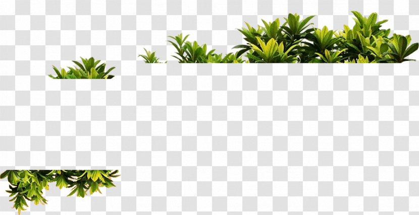 Plant Vine - Tree - Chemical Factory Transparent PNG