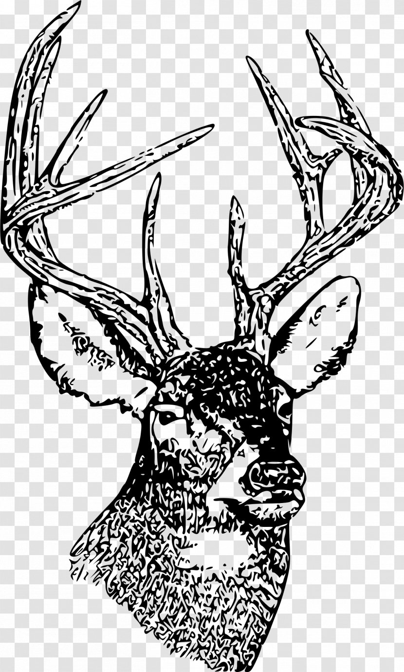 White-tailed Deer Moose Clip Art - Monochrome Photography - Head Transparent PNG
