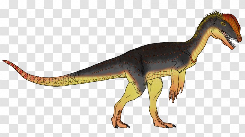 Tyrannosaurus Art Dilophosaurus Velociraptor Animal - Figure Transparent PNG