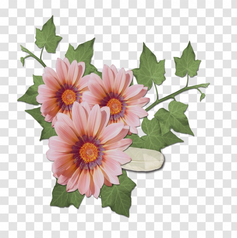 Image Design Flower Adobe Photoshop - Photography - Cut Flowers Transparent PNG