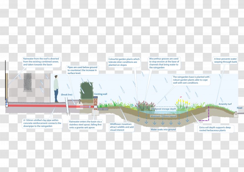 Sustainable Drainage System Rain Garden - Elevation Transparent PNG