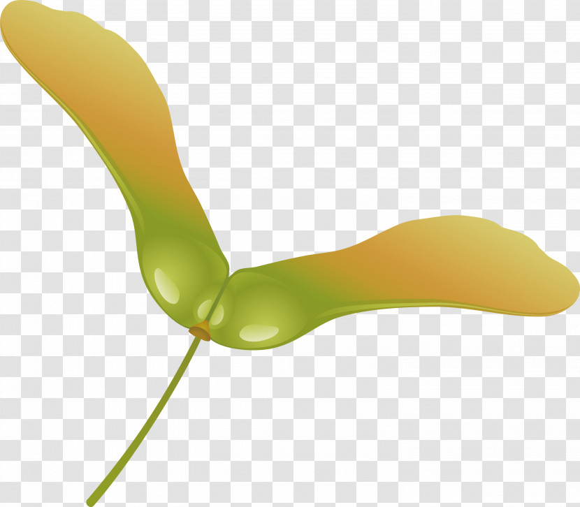 Green Yellow Leaf Spoon Plant Transparent PNG