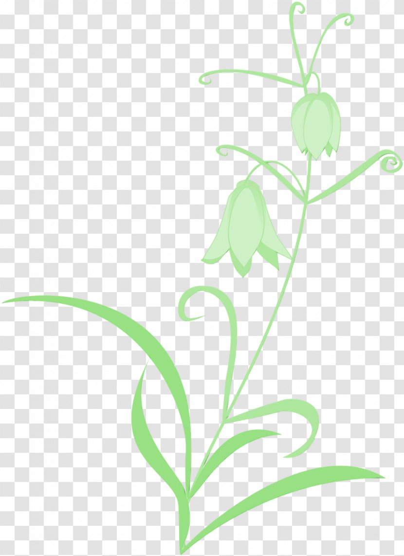Plant Flower Leaf Flowering Pedicel - Lily Of The Valley - Fritillaria Stem Transparent PNG