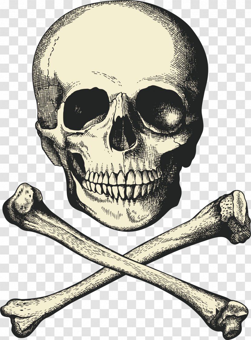 Captain Hook Piracy Buried Treasure Ship - Skeleton Vector Transparent PNG