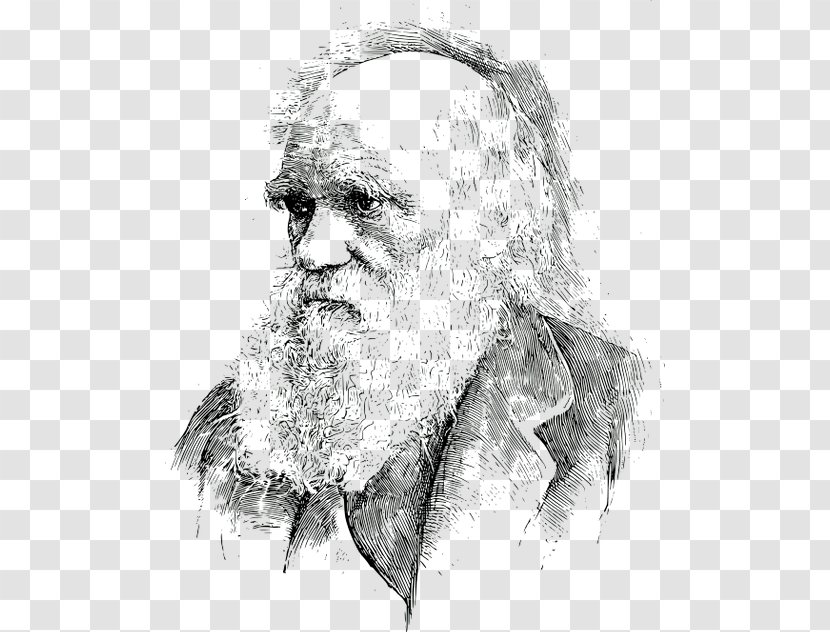 What Darwin Got Wrong Charles Darwin: Victorian Mythmaker Evolution Biology Darwinism - Neck - Scientist Transparent PNG